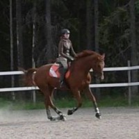 Tutustumisratsastus